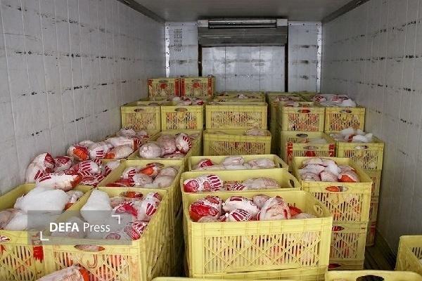 در دو هفته اخیر ۱۴ تن مرغ منجمد در کردستان توزیع شد