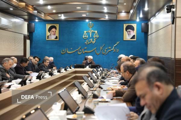 عزم جدی دستگاه قضا بر حمایت از تولید داخلی عزم جدی دستگاه قضا بر حمایت از تولید داخلی