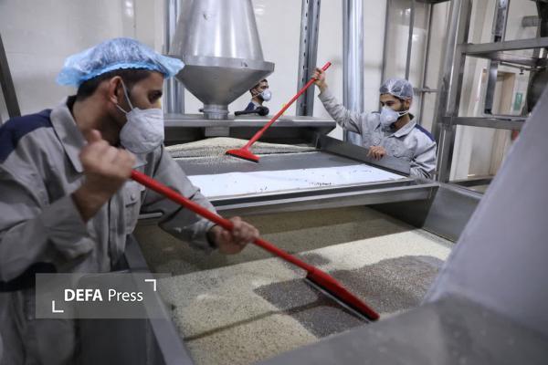 روایت سفر یکروزه رئیس سازمان حفاظت محیط زیست به یزد+ تصاویر