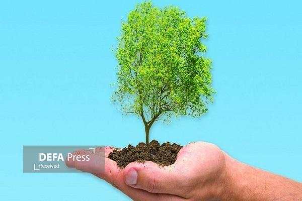 پویش درختکاری در خرمآباد به مناسبت ولادت حضرت علی (ع) پویش درختکاری در خرمآباد به مناسبت ولادت حضرت علی (ع)