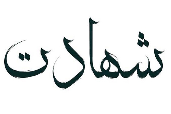 احراز رسمی شهادت ۳ تن از شهدای اغتشاشات دی ۱۴۰۴