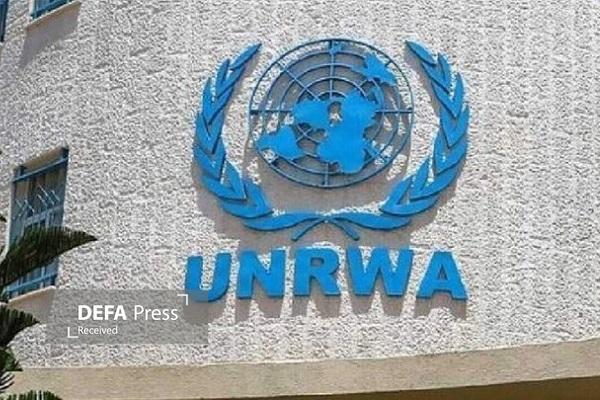 هشدار آنروا درباره افزایش بیسابقه خشونت صهیونیستها در کرانه باختری هشدار آنروا درباره افزایش بیسابقه خشونت صهیونیستها در کرانه باختری