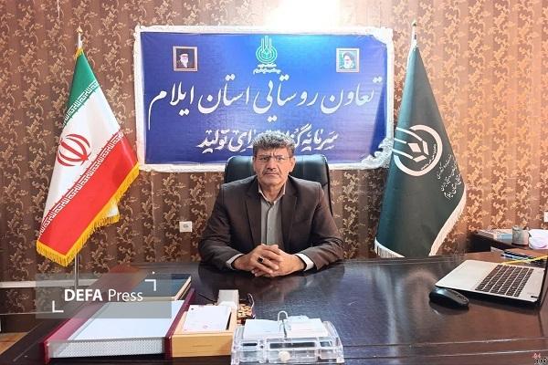 افتتاح پنج روستا بازار با ۱۲ غرفه و اعتباری بالغ بر ۲۵ میلیارد ریال در استان ایلام همزمان با دهه مبارک فجر افتتاح پنج روستا بازار با ۱۲ غرفه و اعتباری بالغ بر ۲۵ میلیارد ریال در استان ایلام همزمان با دهه مبارک فجر