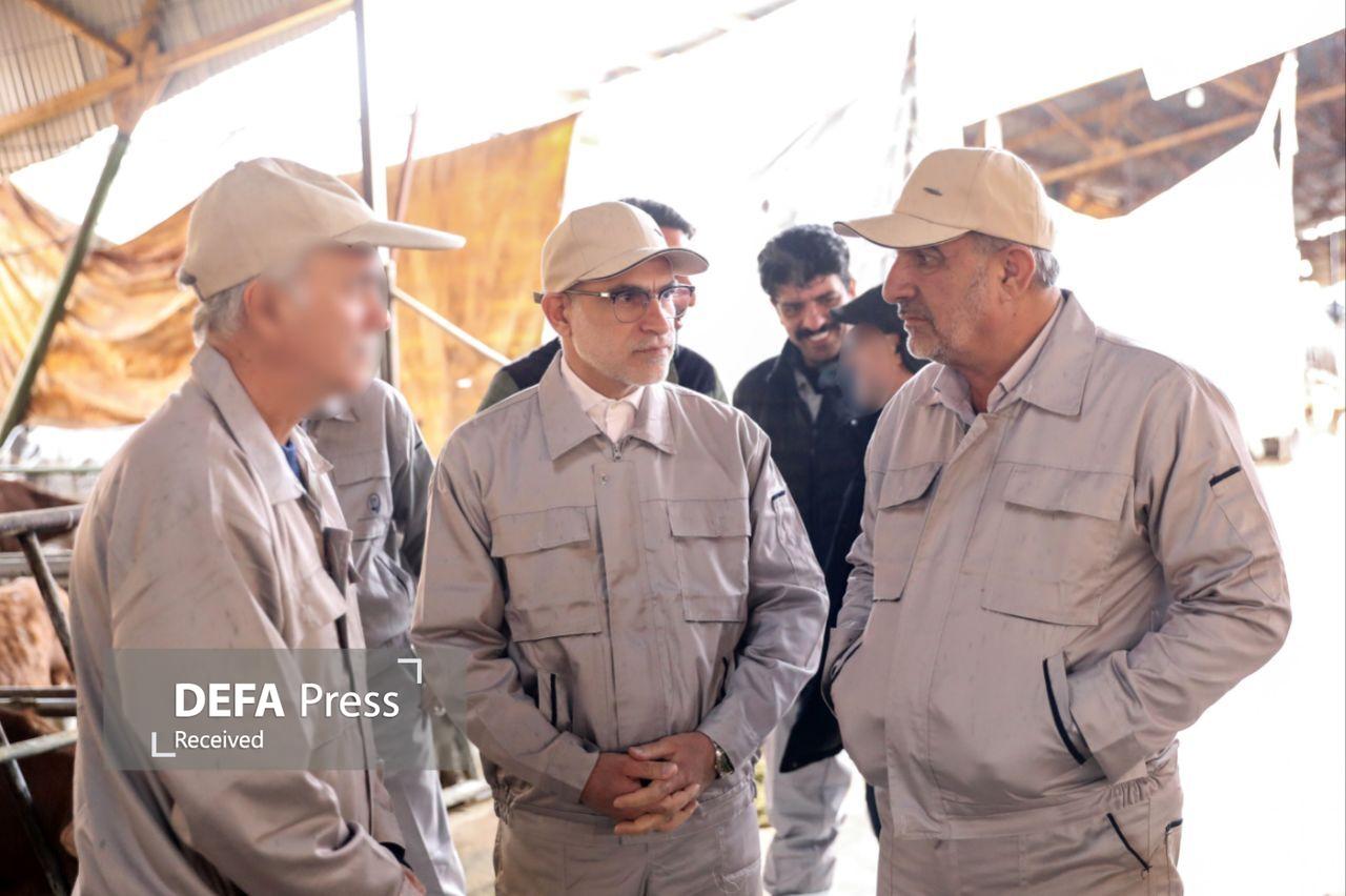 ظرفیت بالای سازمان اتکا در تقویت امنیت غذایی کشور ظرفیت بالای سازمان اتکا در تقویت امنیت غذایی کشور