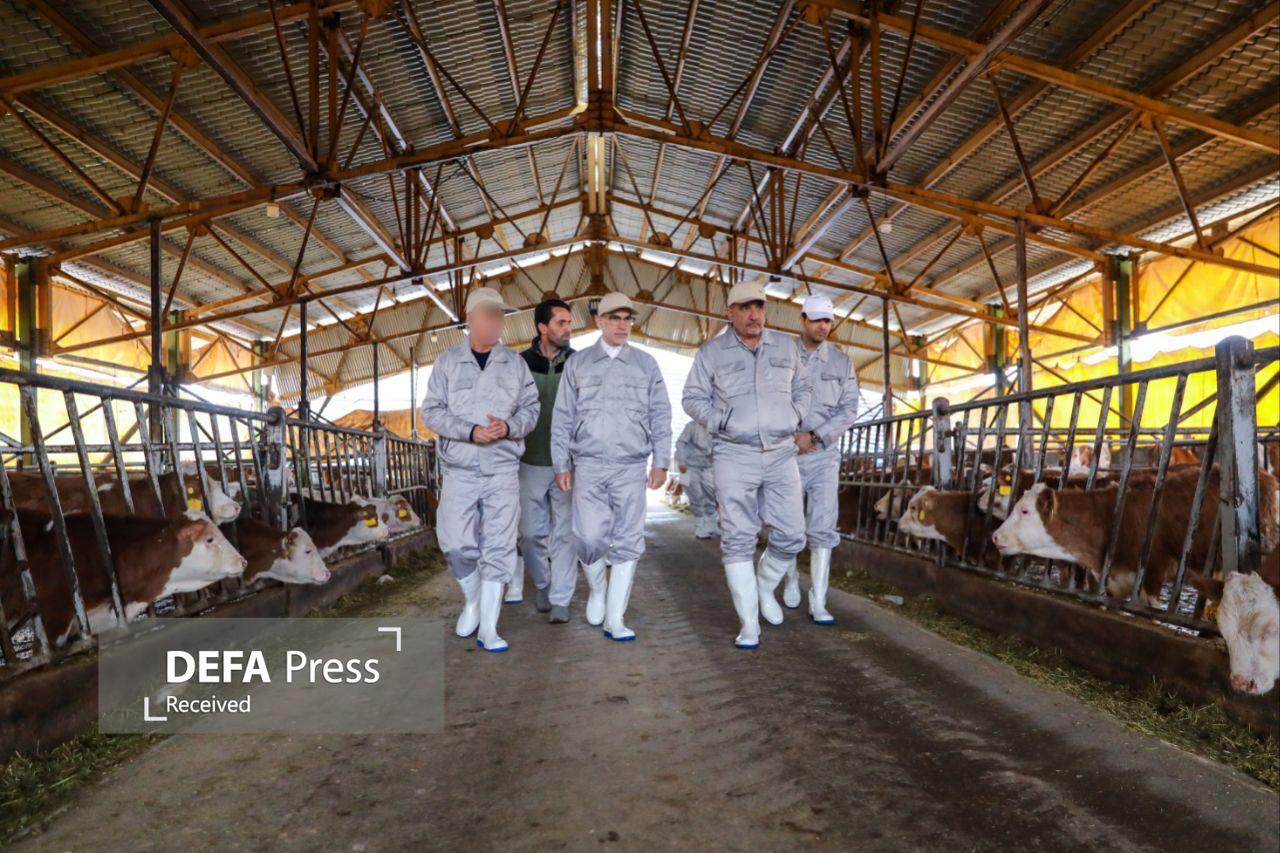 ظرفیت بالای سازمان اتکا در تقویت امنیت غذایی کشور ظرفیت بالای سازمان اتکا در تقویت امنیت غذایی کشور