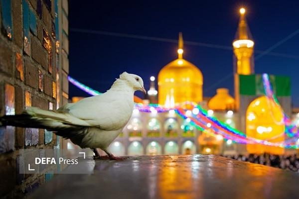 برگزاری پنجمین جشنواره ملی داستاننویسی ترکی رضوی «قیزیل ایوان» در زنجان برگزاری پنجمین جشنواره ملی داستاننویسی ترکی رضوی «قیزیل ایوان» در زنجان