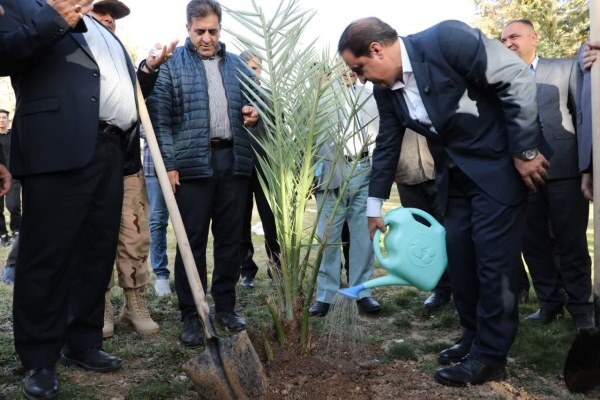 تصاویر/ کاشت نهال بلوط و خرما توسط استانداران ایلام و واسط عراق