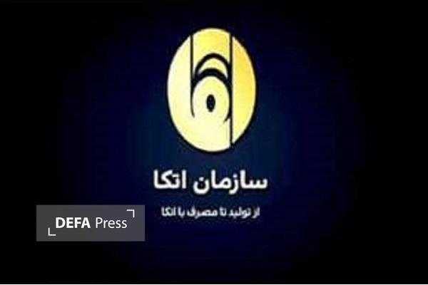 اطمینان خاطر مجلس و وزارت دفاع از ذخایر راهبردی کالا‌های اساسی در بازدید از «اتکا» / آمادگی کامل برای نبرد‌های طولانی و تأمین معیشت خانواده‌ها
