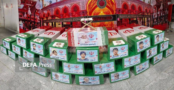 بقائی: ایرانیان متحد و استوار ایستاده‌اند