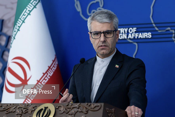 بقائی: تاکنون حداکثر خویشتنداری را به خرج دادهایم بقائی: تاکنون حداکثر خویشتنداری را به خرج دادهایم