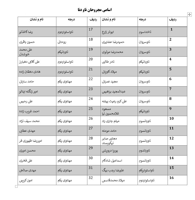 اسامی شهدا و مجروحان ناو «دنا»