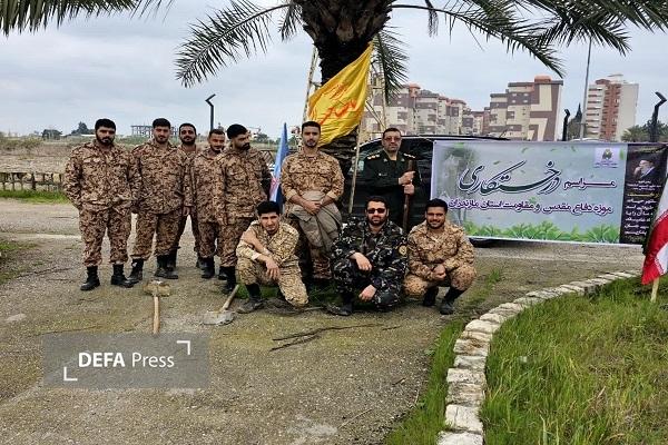 غرس نهال به یاد شهدای جنگ رمضان در موزه دفاع مقدس و مقاومت مازندران+ تصاویر
