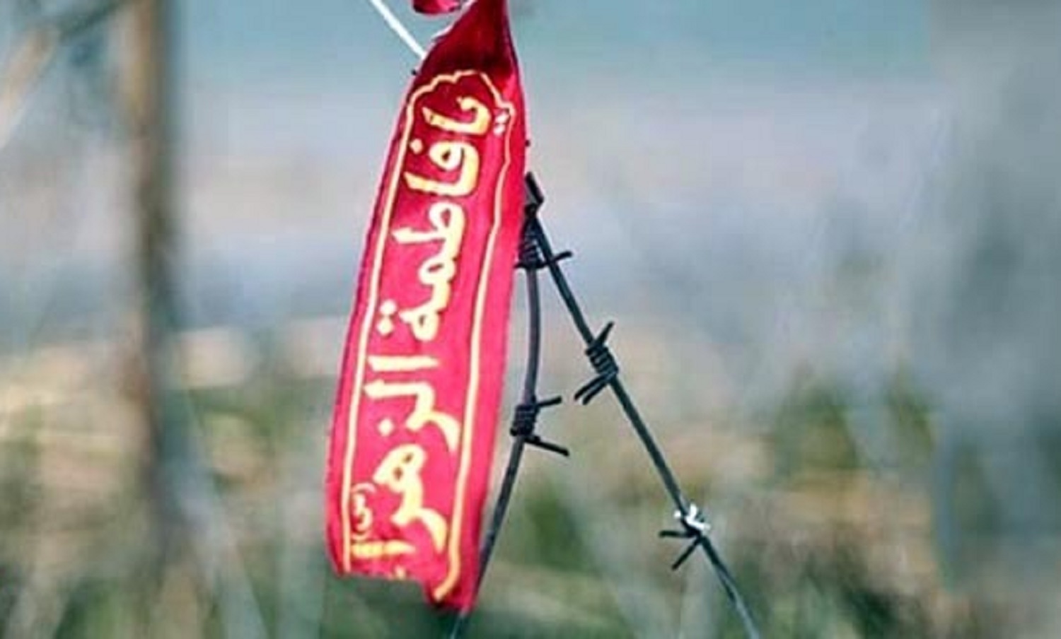 مروری در زندگینامه شهید «صابر باقری»