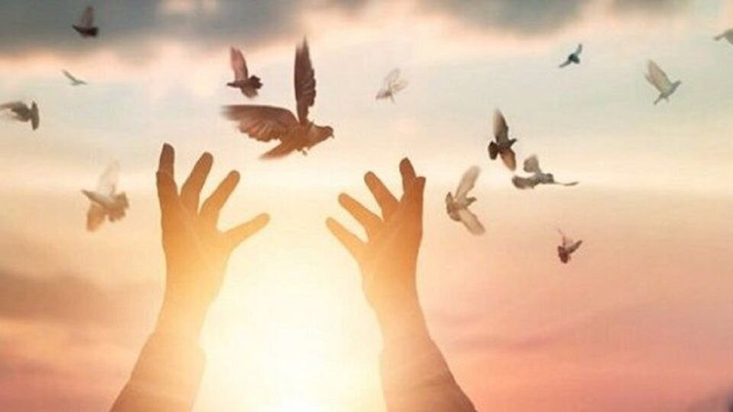 قدردانی از همت والای مردم آذربایجان غربی در آزادسازی بیش از ۱۲۰۰ زندانی در سال جاری