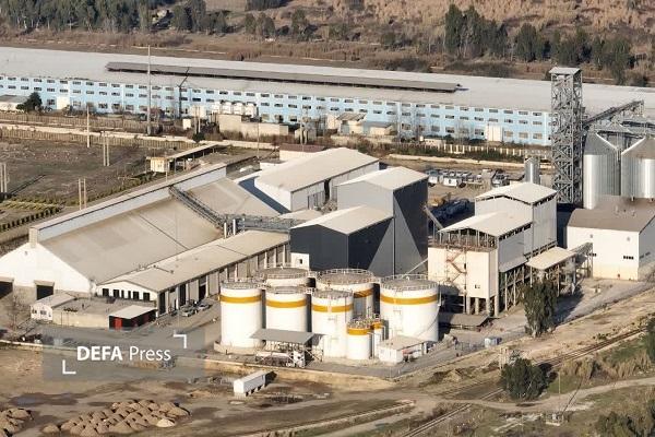 گام بلند دولت در خودکفایی روغن؛ افتتاح کارخانه ۳۰۰ هزار تنی در مازندران