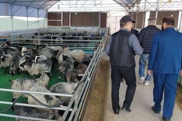 پایدارسازی ۵۷ هزار شغل در بخش کشاورزی خراسان رضوی با مشارکت اقتصادی بسیج