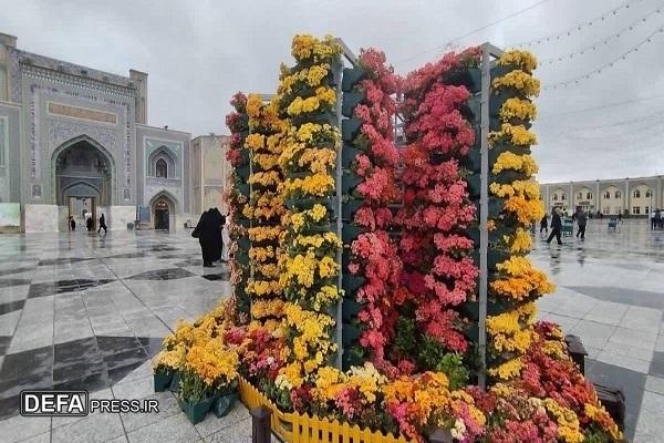 گل‌آرایی ویژه صحن و سرای رضوی به مناسب ایام دهه کرامت