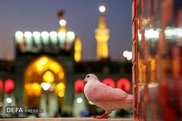 حصن حصین