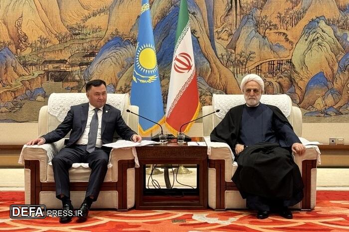 دیدار محسنی اژه‌ای با مقامات قضایی هفت کشور/ استیفای حقوق ایرانیان محور گفت‌وگوها