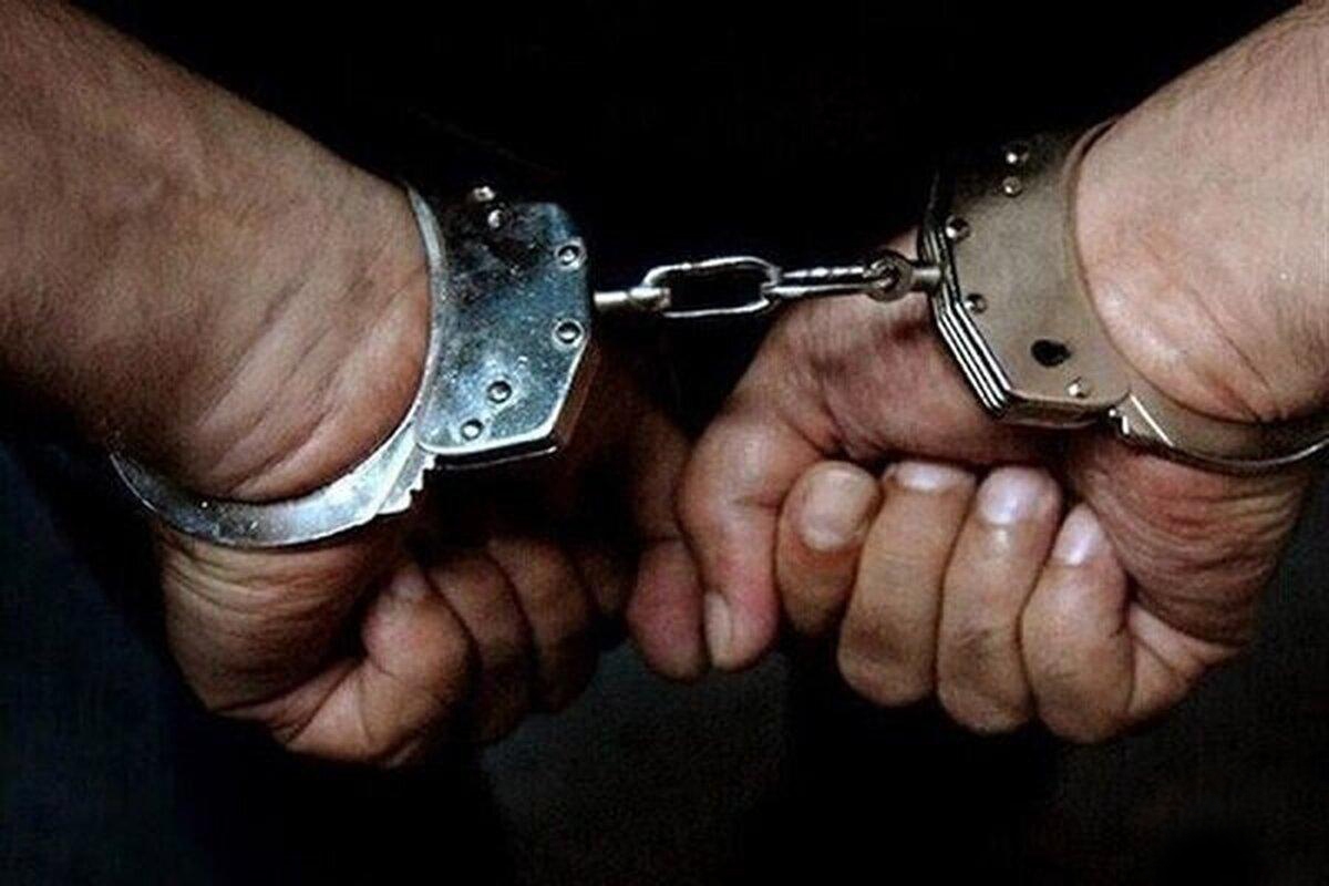 دستگیری ۴۹۵ مالخر و کشف ۸۳۳ فقره سرقت