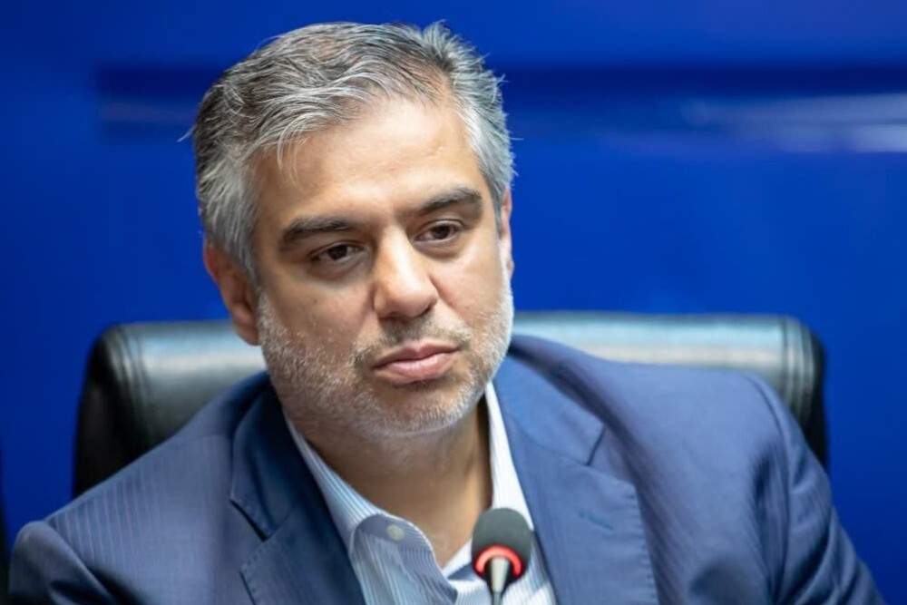 زندیه وکیلی: بزرگداشت شهدای خدمت پیوند فرهنگ ایثار با آینده است