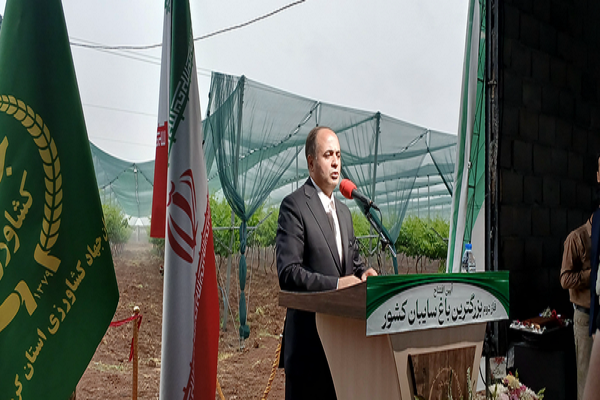 وزیر جهاد کشاورزی: با توسعه باغ سایبان، درآمد کشاورزان ارتقا می‌یابد