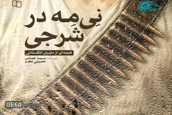 کتاب «نی‌مه در شرجی» منتشر شد