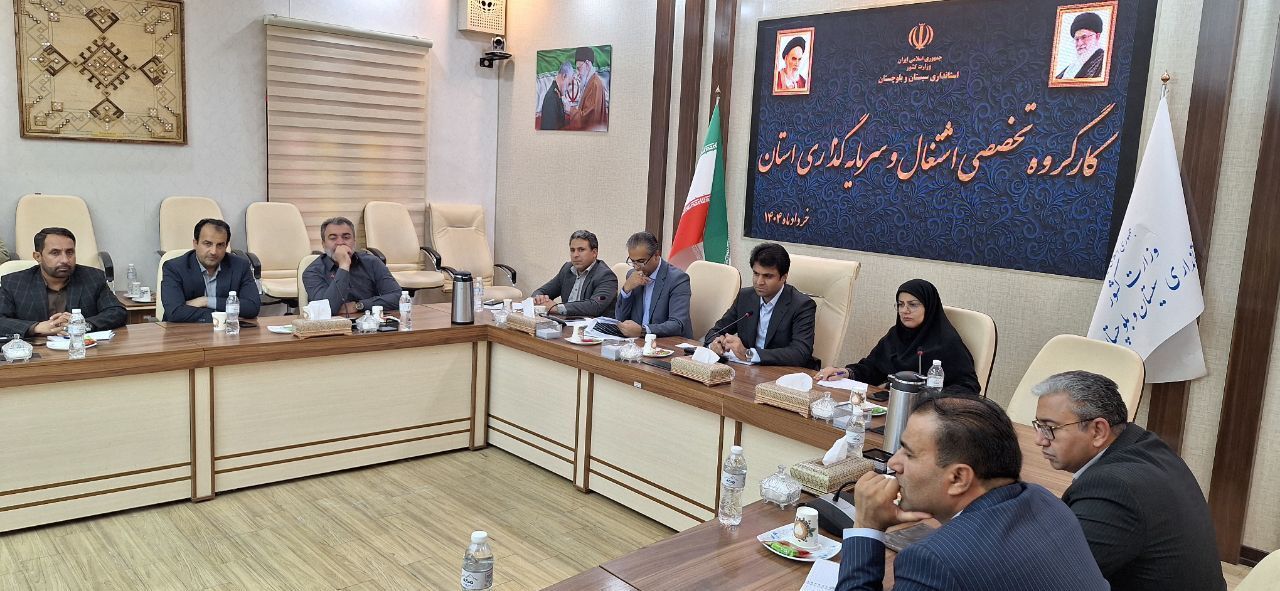 سال ۱۴۰۳ چند نفر در سیستان و بلوچستان صاحب شغل شدند؟