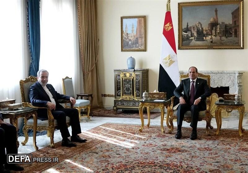 عراقچی با رئیس جمهور مصر دیدار کرد