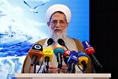 محمد حسنی: ایستادگی جبهه مقاومت برنامه دشمن را به هم ریخت