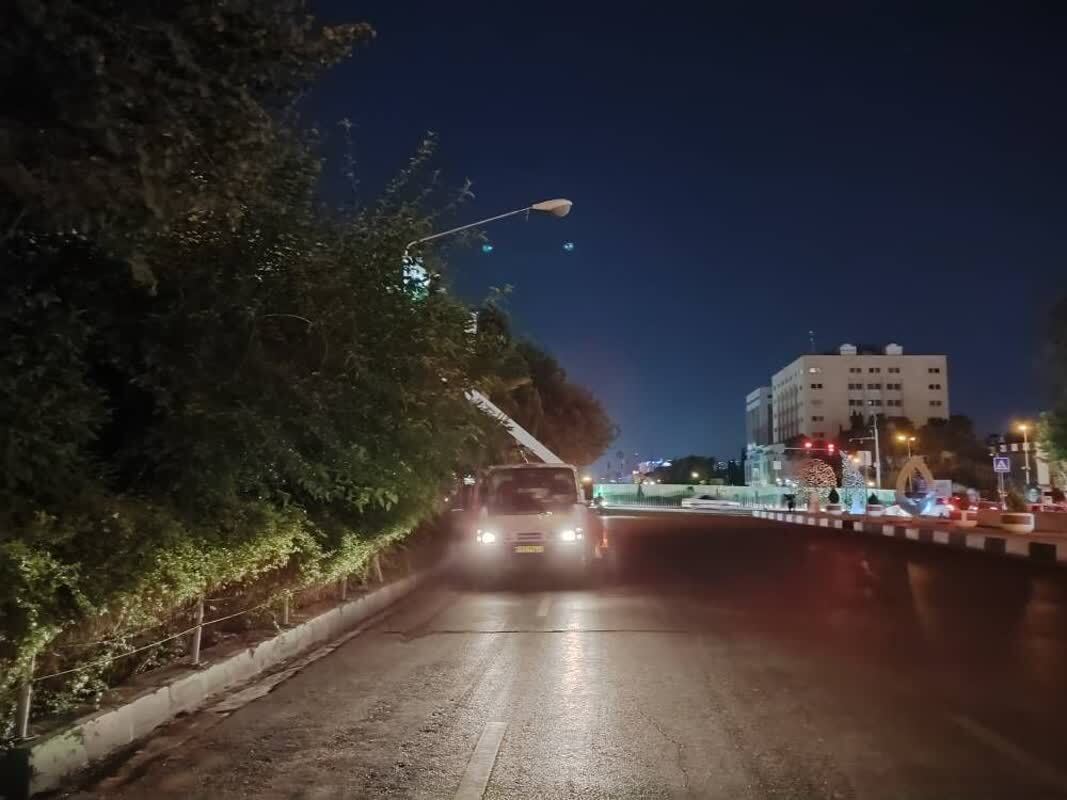 تامین برق پایدار در شادپیمایی غدیر / ارتقا ایمنی سرلوحه فعالیت‌های شرکت در مسیر شادپیمایی