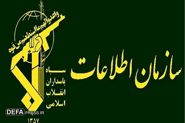 شناسایی و بازداشت تیم فعال در زمینه ریزپرنده ها در چهارمحال و بختیاری