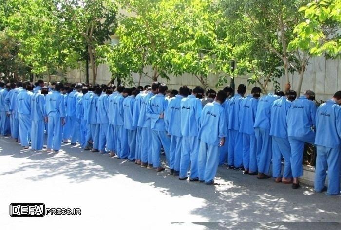 دستگیری ۱۹۶ مالخر در سراسر کشور