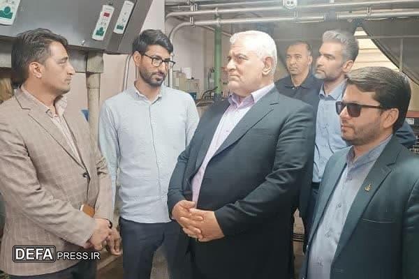 جمشیدی: خام‌فروشی، چالش اصلی کشاورزی و دامپروری شهرستان تایباد است