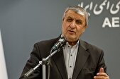 اسلامی: اعتمادی به آژانس و بازرسی‌های آن نداریم