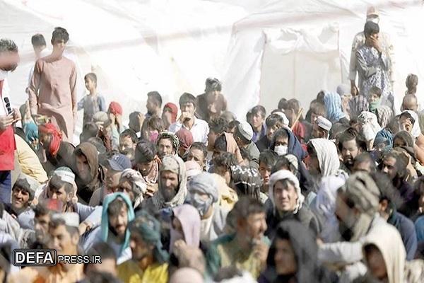 مهاجران غیرمجاز افغانستانی عزتمندانه به کشورشان بازگشتند