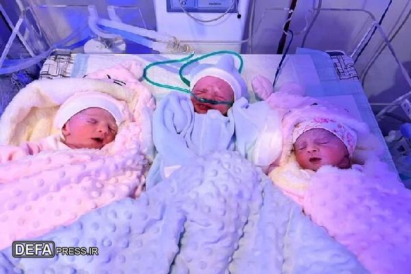 برای نخستین بار در سنندج مادر کردستانی با روش IVF سه‌قلوی سالم به دنیا آورد