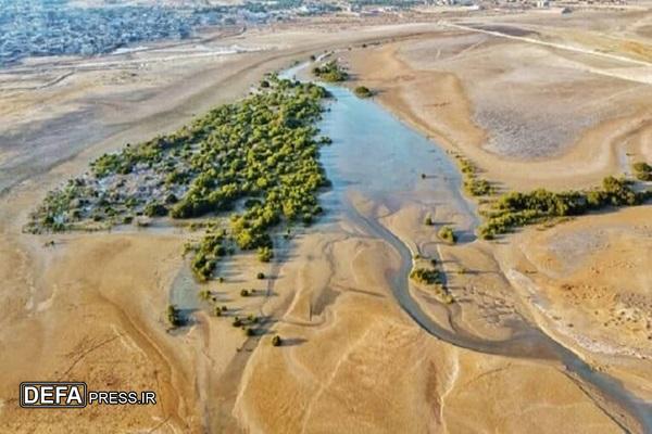 بهبود وضعیت اکولوژیکی تالاب‌های استان بوشهر