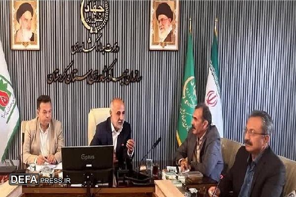 کشت دیم در شرایط بحرانی کم‌آبی نقطه قوت کشاورزی کردستان است