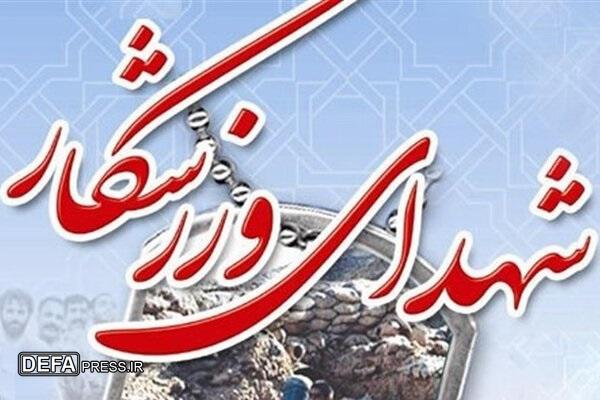 تعداد شهدای ورزشکار به ۴۱ تن رسید