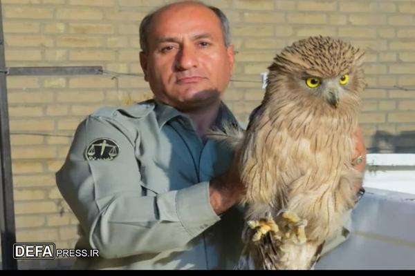 دستور ویژه سردار رادان در خصوص پرونده شهید محیط بان «هدایت‌الله دیده بان»