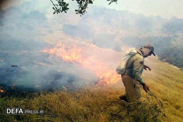 منابع طبیعی سنندج از عمدی بودن آتش‌سوزی در پارک جنگلی آبیدر خبر داد