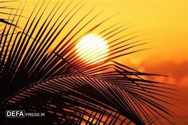 افزایش دمای هوا در استان بوشهر