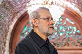 لاریجانی: شهید سلامی در عقاید خود پایدار بود