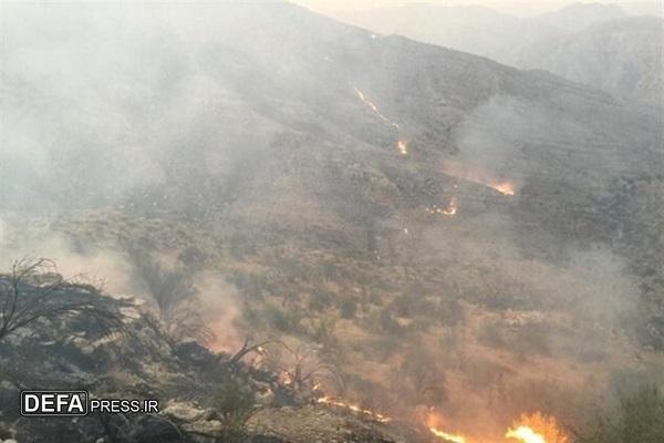 مهار آتشسوزی مراتع منطقه گیسکان دشتستان پس از ۵ روز مهار آتشسوزی مراتع منطقه گیسکان دشتستان پس از ۵ روز