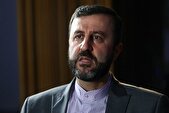 غریب آبادی: اگر اسنپ بک فعال شود پاسخ قاطع خواهیم داد