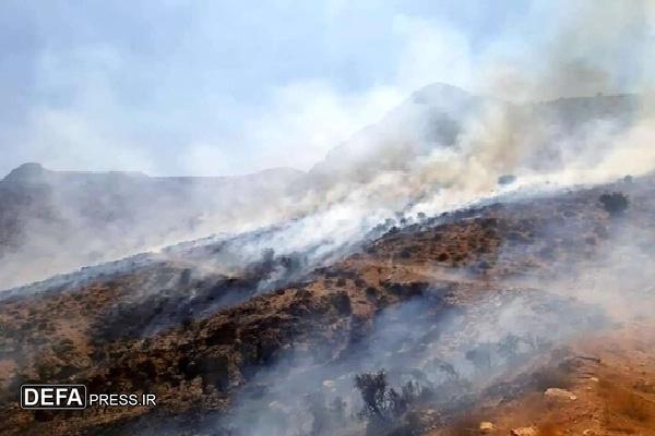 آتش‌سوزی در آبیدر سنندج بیش از بیست هکتار از اراضی طبیعی را طعمه حریق کرد