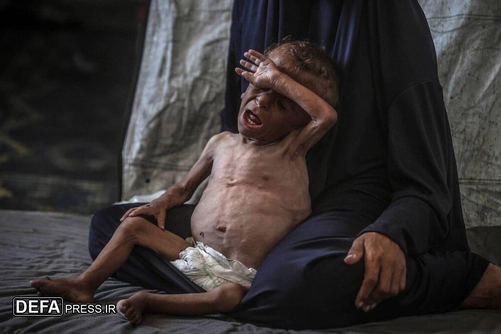 شهادت ۵ فلسطینی در اثر قحطی در غزه