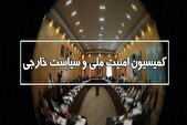 جزئیات نشست کمیسیون امنیت ملی؛ تغییرات ژئوپلیتیکی مغایر امنیت منطقه است