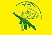تأکید انصارالله یمن بر تداوم حمایت از غزه